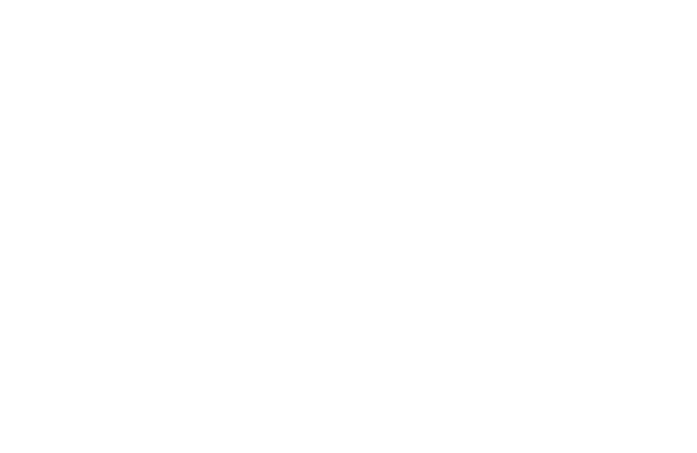 Personalized Sneakers