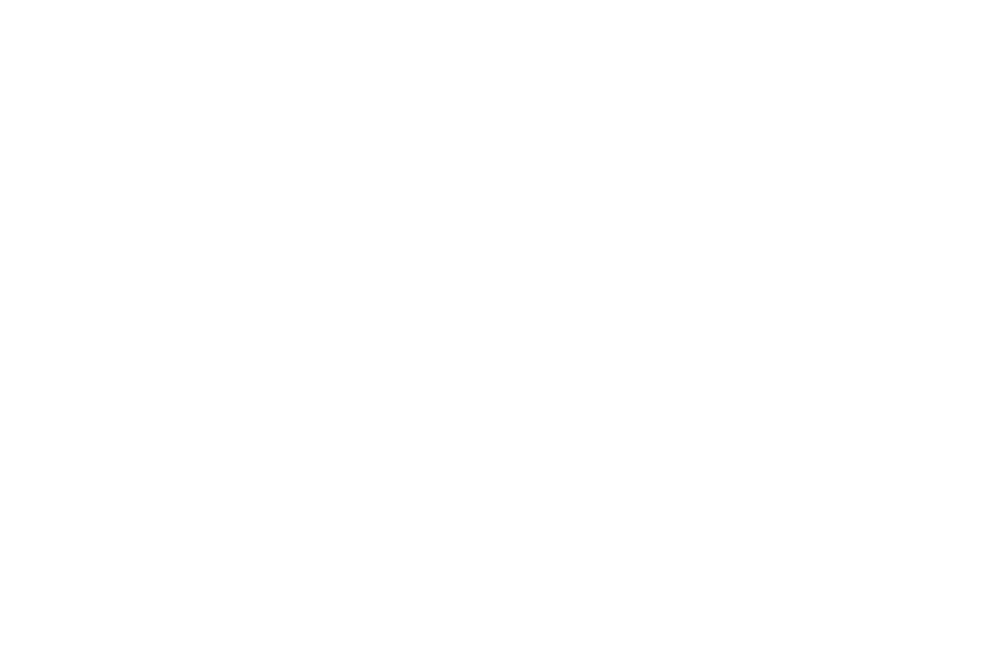 Custom Sneakers with Company Logo