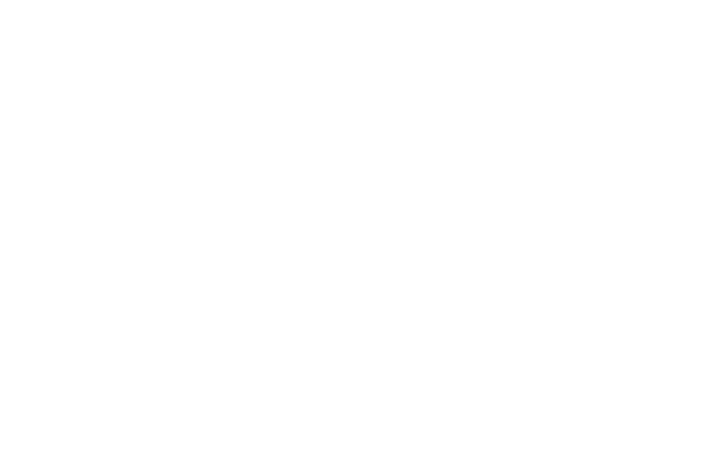 Custom Sneakers with Company Logo