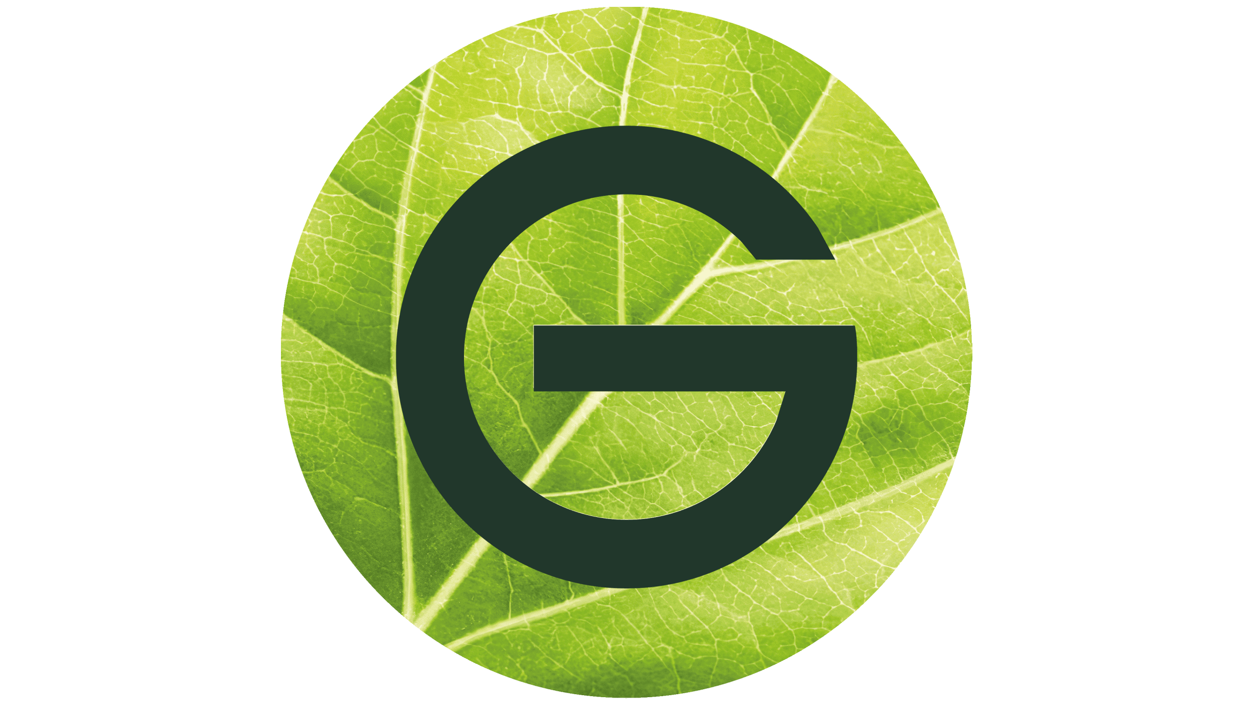 Logo Garnier